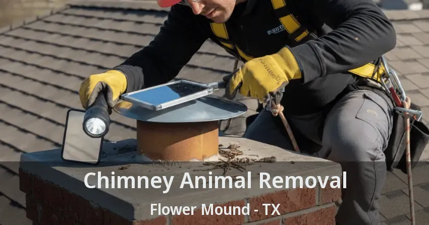 Chimney Animal Removal Flower Mound - TX
