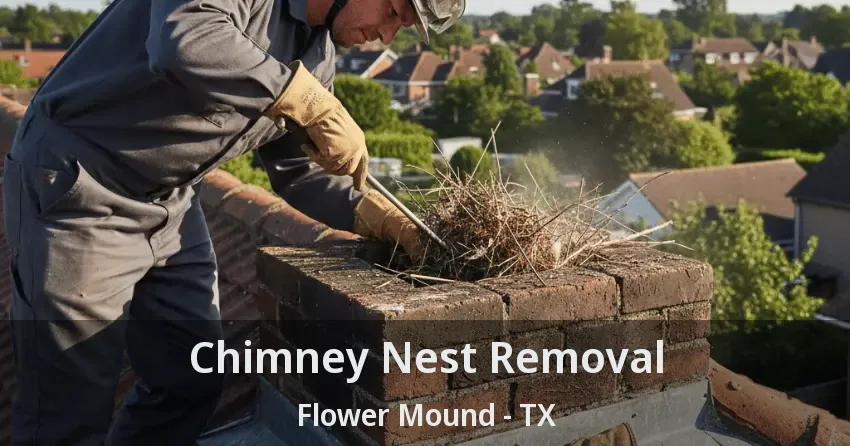 Chimney Nest Removal Flower Mound - TX