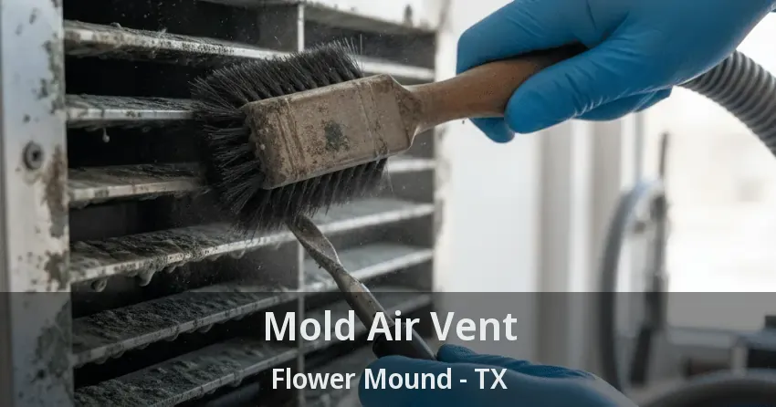 Mold Air Vent Flower Mound - TX Mold Air Vent Flower Mound - TX