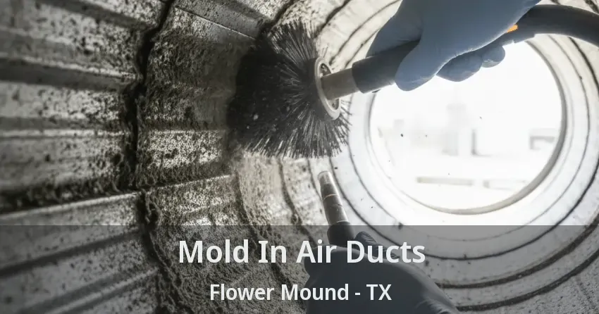 Mold In Air Ducts Flower Mound - TX Mold In Air Ducts Flower Mound - TX