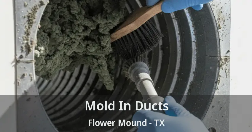 Mold In Ducts Flower Mound - TX