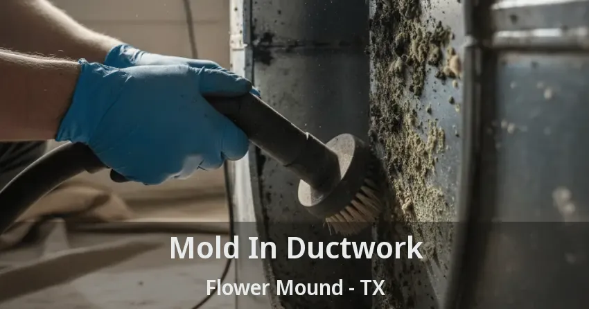 Mold In Ductwork Flower Mound - TX