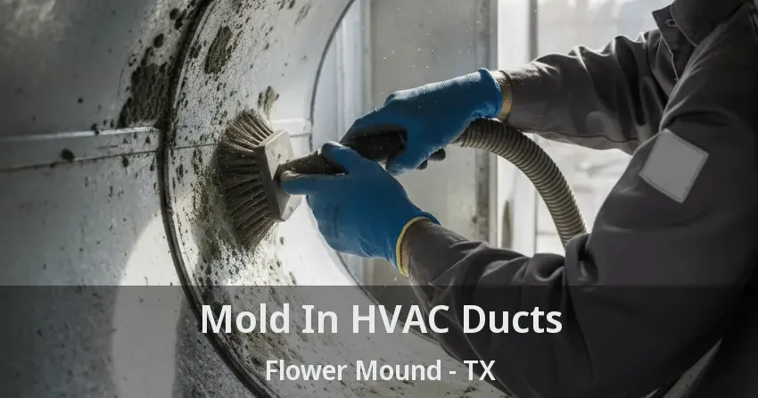Mold In HVAC Ducts Flower Mound - TX