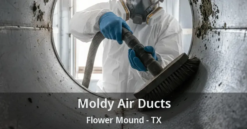 Moldy Air Ducts Flower Mound - TX
